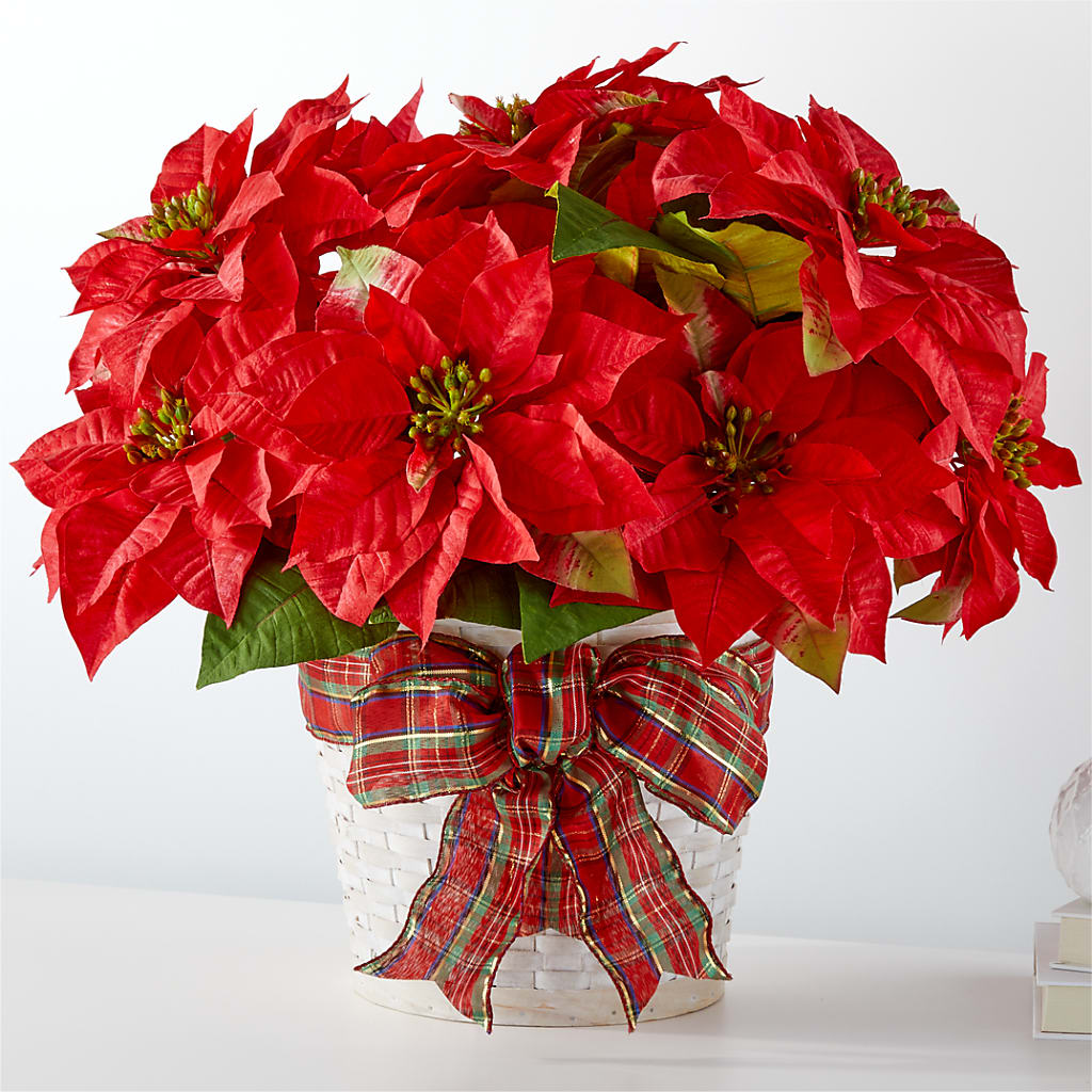 Happiest Holidays Poinsettia – FLOWERS & FAIRYTALES, Pittsburgh PA