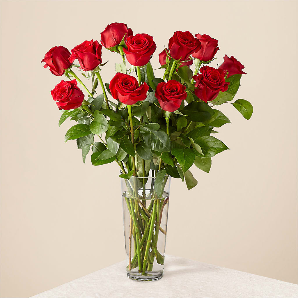 Long Stem Red Rose Bouquet – FLOWERS & FAIRYTALES, Pittsburgh PA