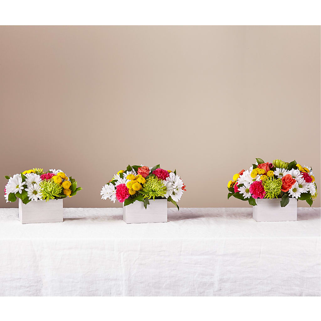 Sorbet Bouquet – FLOWERS & FAIRYTALES, Pittsburgh PA