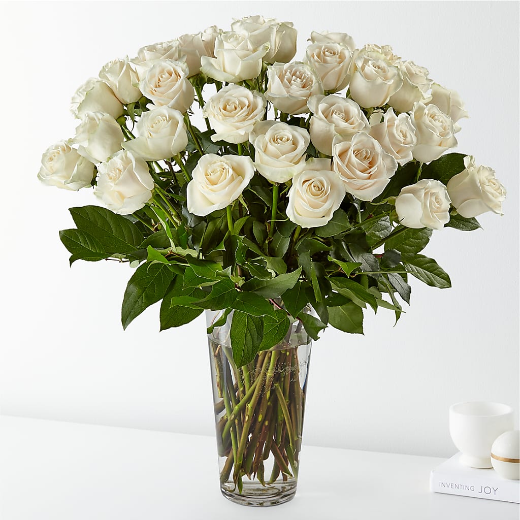 Long Stem White Rose Bouquet – FLOWERS & FAIRYTALES, Pittsburgh PA