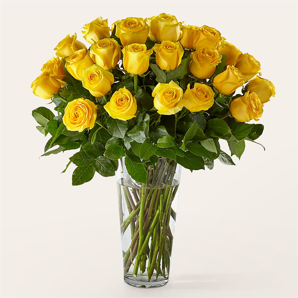 Long Stem Yellow Rose Bouquet – FLOWERS & FAIRYTALES, Pittsburgh PA