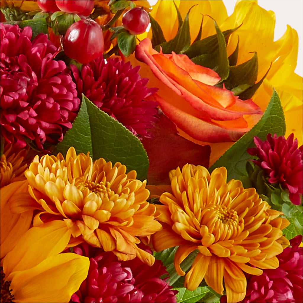 Sweater Season - A Florist Original – FLOWERS & FAIRYTALES, Pittsburgh PA