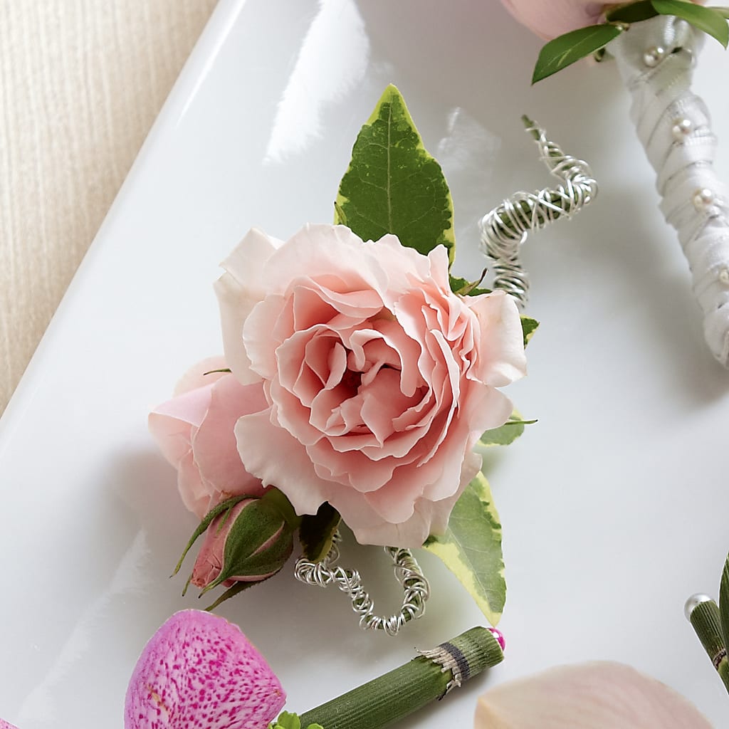 Pink Spray Rose Boutonniere – FLOWERS & FAIRYTALES, Pittsburgh PA