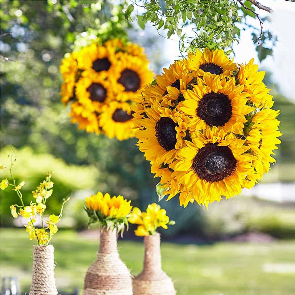 Sublime Garden Hanging Arrangement – FLOWERS & FAIRYTALES, Pittsburgh PA