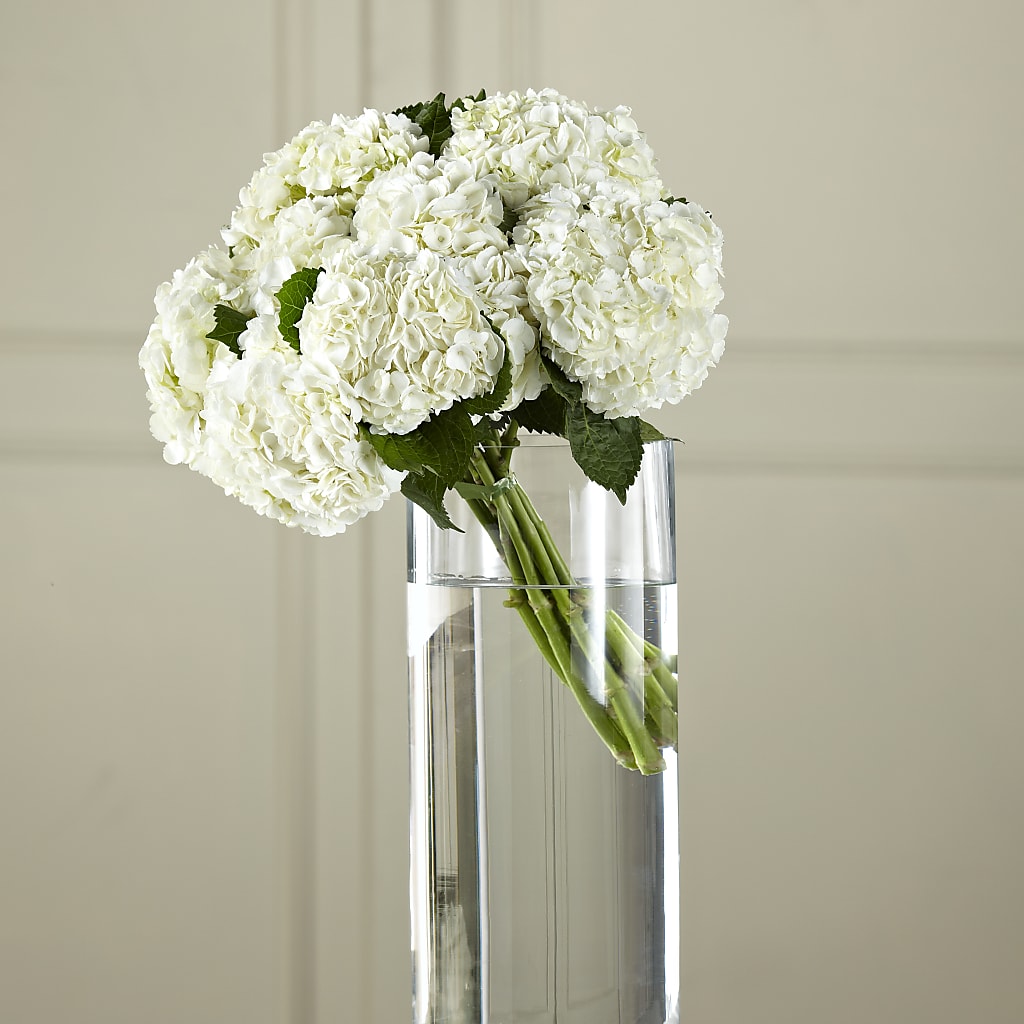White Hydrangea Hand-Tied Bouquet – FLOWERS & FAIRYTALES, Pittsburgh PA