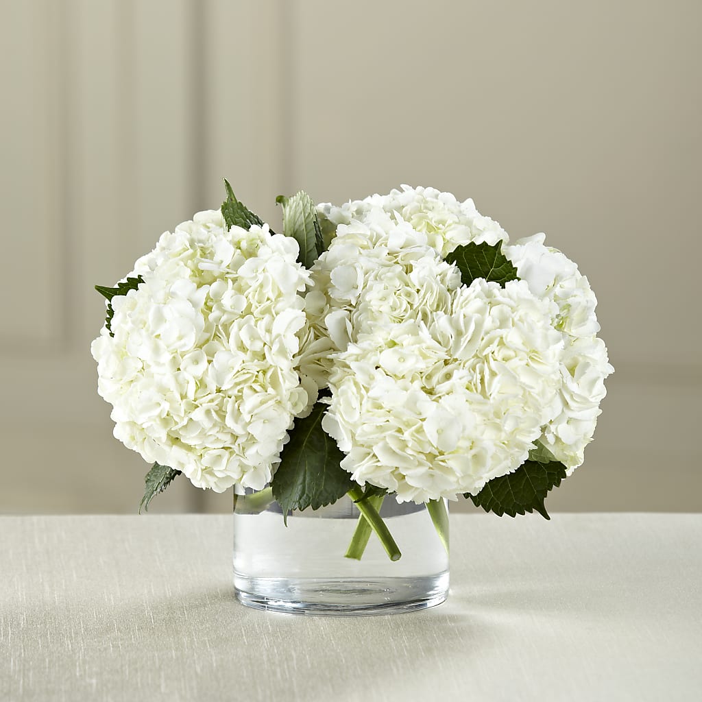 White Hydrangea Bouquet – FLOWERS & FAIRYTALES, Pittsburgh PA
