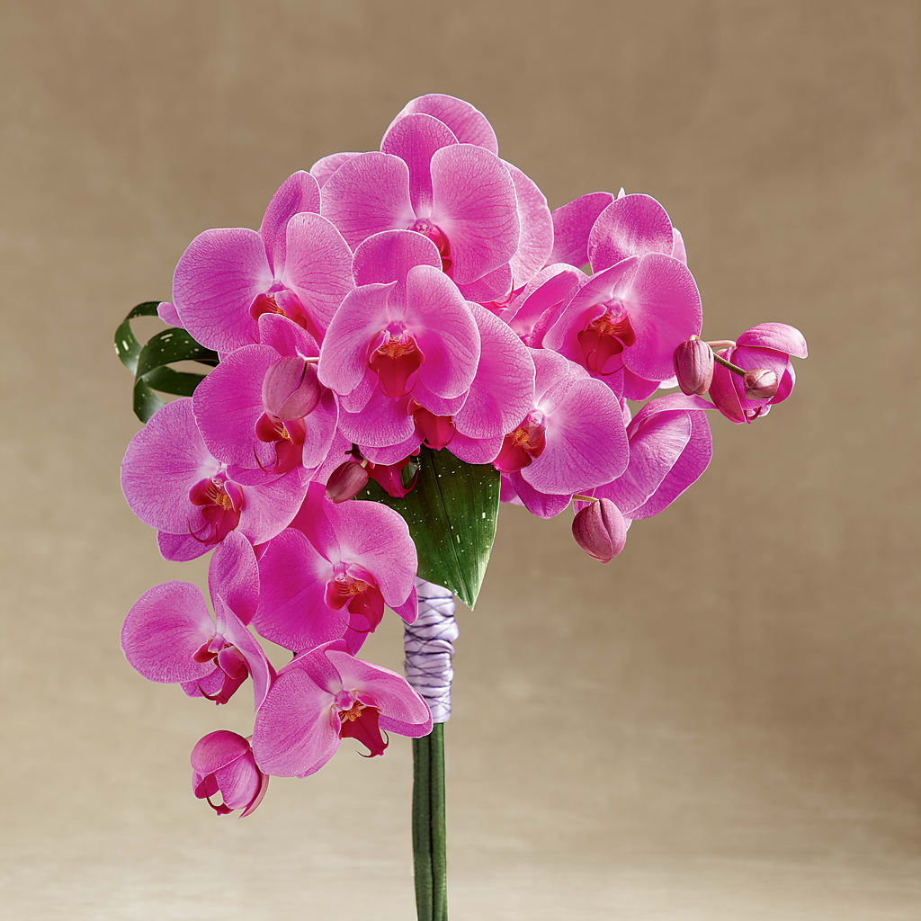 Glorious Bouquet – FLOWERS & FAIRYTALES, Pittsburgh PA
