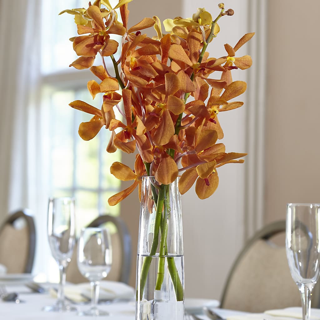 Orange Mokara Bud Vase – FLOWERS & FAIRYTALES, Pittsburgh PA