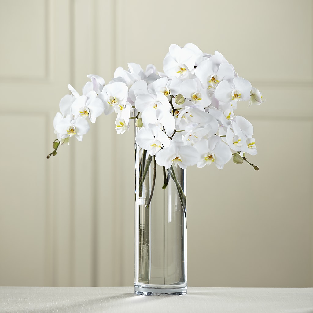White Phalaenopsis Bouquet – FLOWERS & FAIRYTALES, Pittsburgh PA