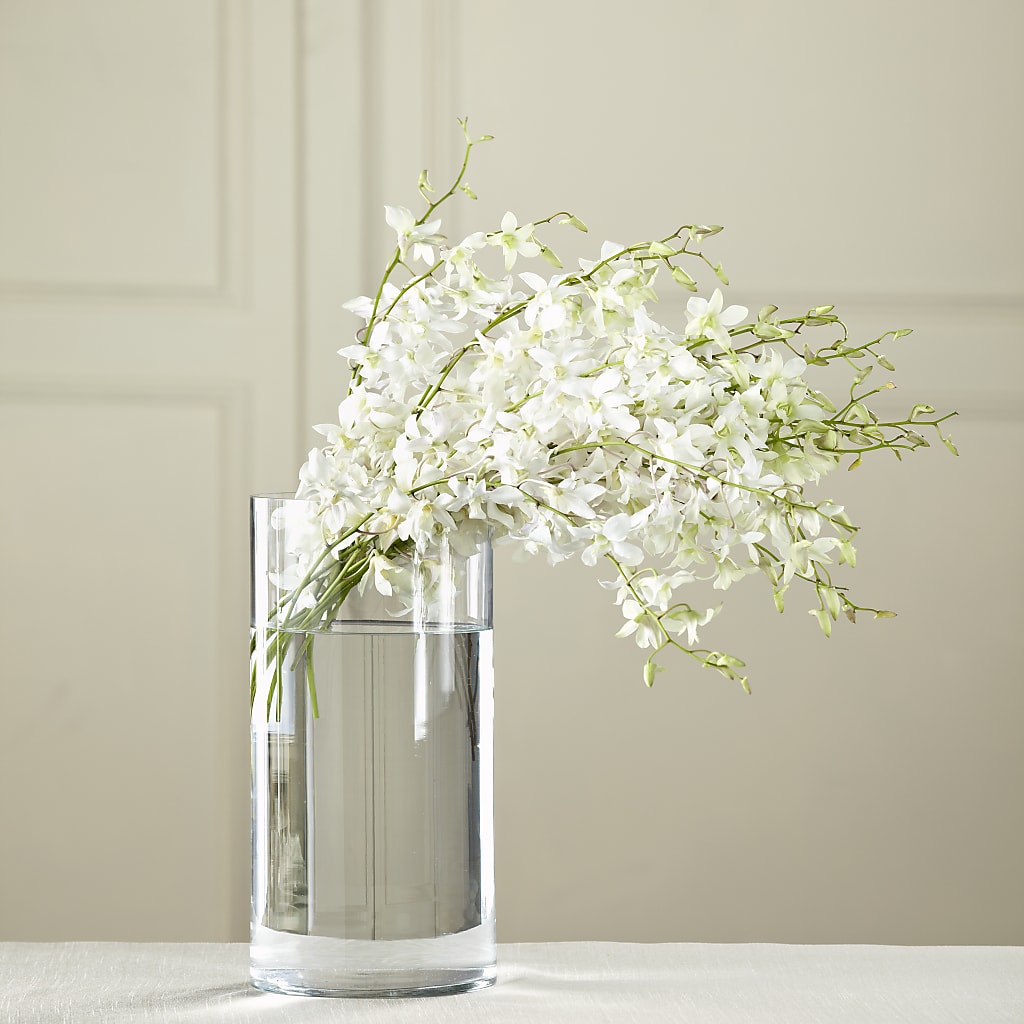 White Dendrobium Bouquet – FLOWERS & FAIRYTALES, Pittsburgh PA