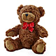 Adorable Plush Bear – FLOWERS & FAIRYTALES, Pittsburgh PA