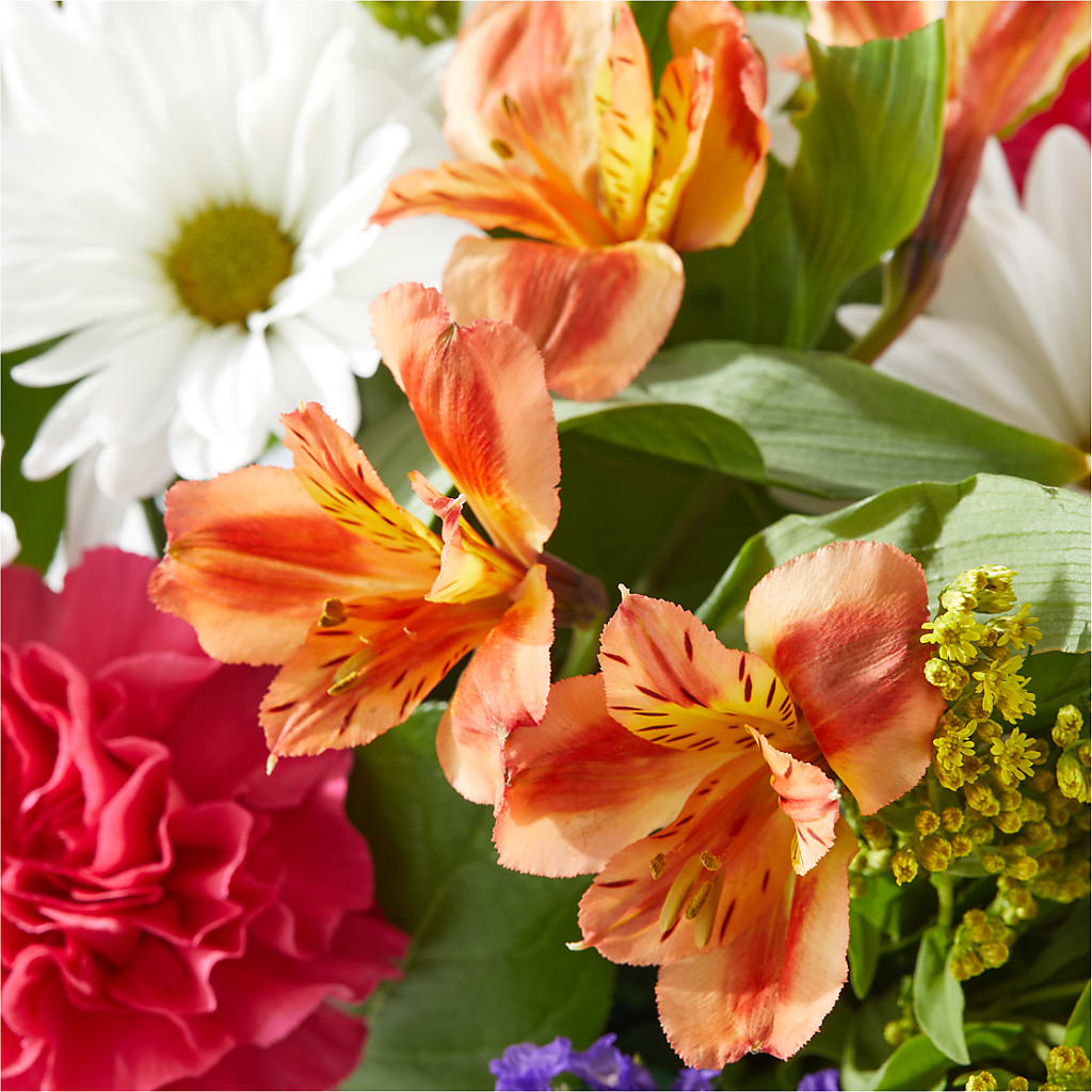 Oopsie Daisy Box Bouquet – FLOWERS & FAIRYTALES, Pittsburgh PA