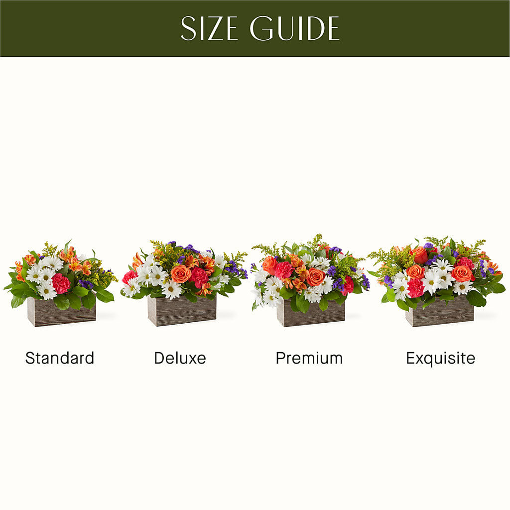 Oopsie Daisy Box Bouquet – FLOWERS & FAIRYTALES, Pittsburgh PA
