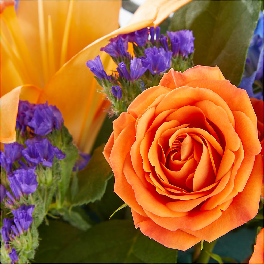 Radiant Citrus Box Bouquet – FLOWERS & FAIRYTALES, Pittsburgh PA