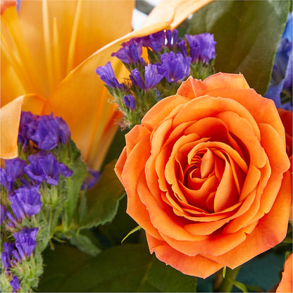 Radiant Citrus Box Bouquet – FLOWERS & FAIRYTALES, Pittsburgh PA