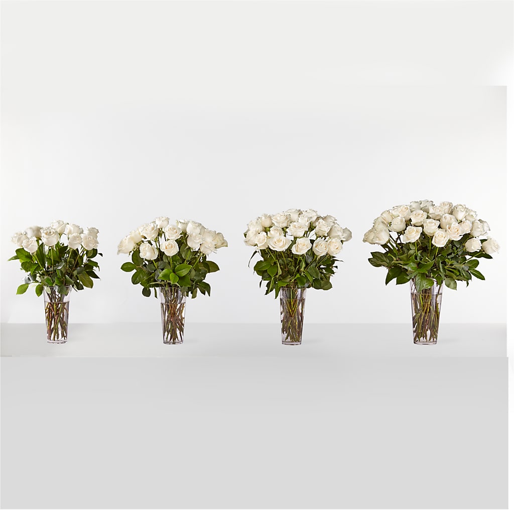 Long Stem White Rose Bouquet – FLOWERS & FAIRYTALES, Pittsburgh PA