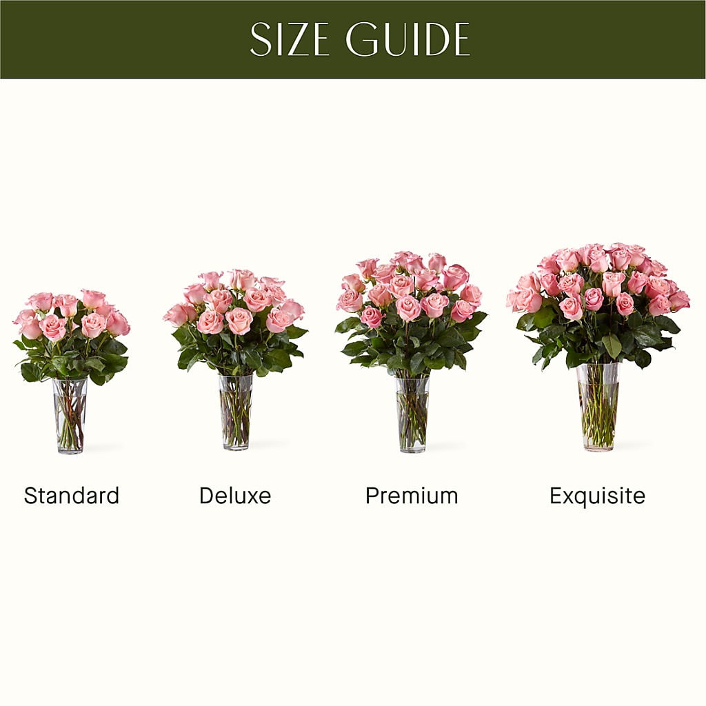 Long Stem Pink Rose Bouquet – FLOWERS & FAIRYTALES, Pittsburgh PA