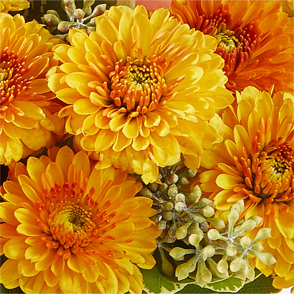 Peachy Pumpkin – FLOWERS & FAIRYTALES, Pittsburgh PA