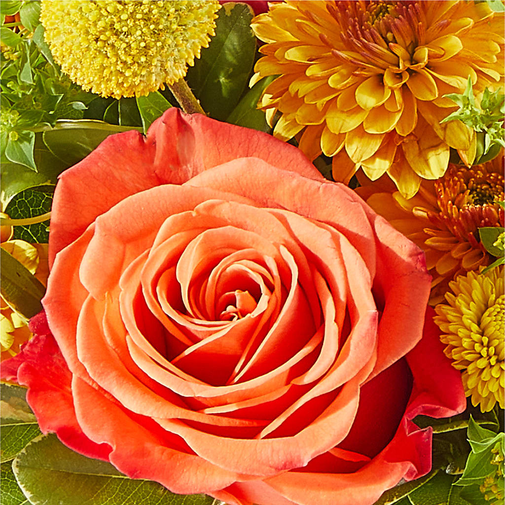 Gourdgeous Pumpkin – FLOWERS & FAIRYTALES, Pittsburgh PA