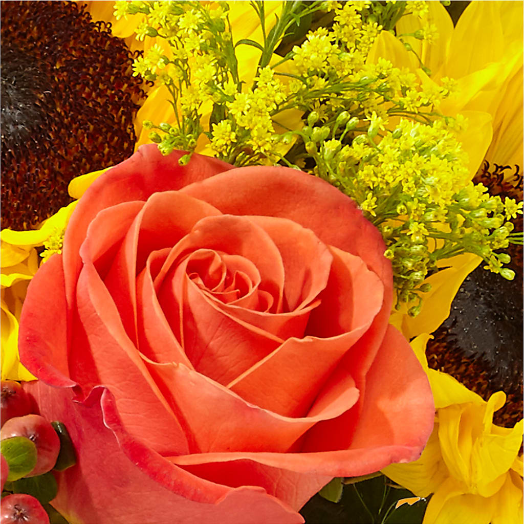 Pick of the Patch Pumpkin Bouquet – FLOWERS & FAIRYTALES, Pittsburgh PA
