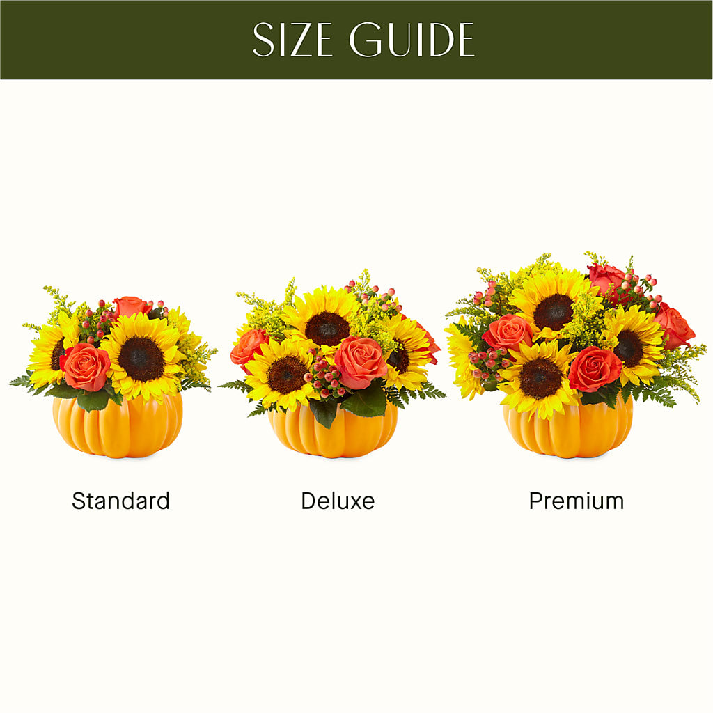 Pick of the Patch Pumpkin Bouquet – FLOWERS & FAIRYTALES, Pittsburgh PA