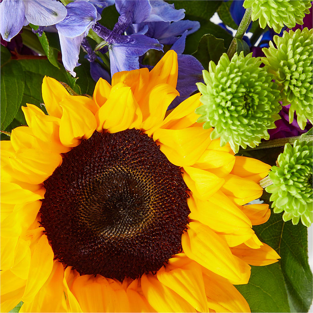 Catching Rays Bouquet – FLOWERS & FAIRYTALES, Pittsburgh PA