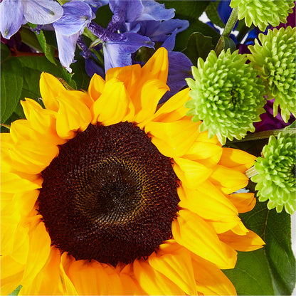 Catching Rays Bouquet – FLOWERS & FAIRYTALES, Pittsburgh PA