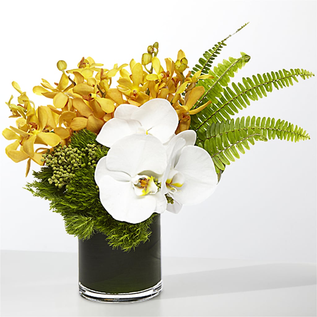 The Tropics – FLOWERS & FAIRYTALES, Pittsburgh PA
