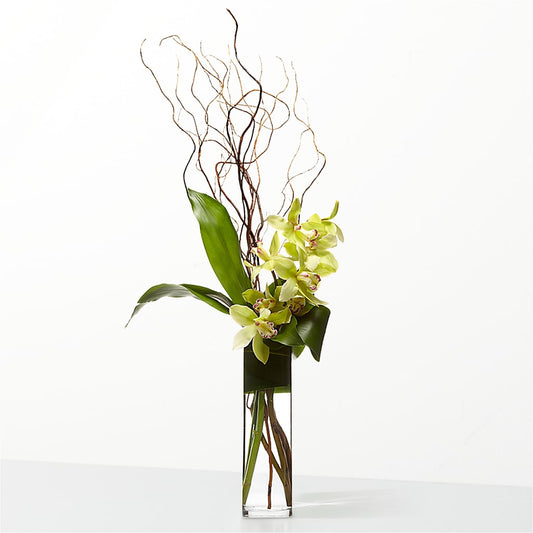 The Statement – FLOWERS & FAIRYTALES, Pittsburgh PA