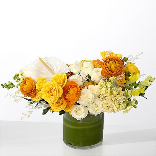 The Optimist – FLOWERS & FAIRYTALES, Pittsburgh PA