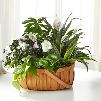 Serene Dishgarden – FLOWERS & FAIRYTALES, Pittsburgh PA