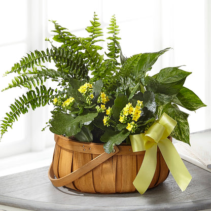 Always Dear Dishgarden – FLOWERS & FAIRYTALES, Pittsburgh PA