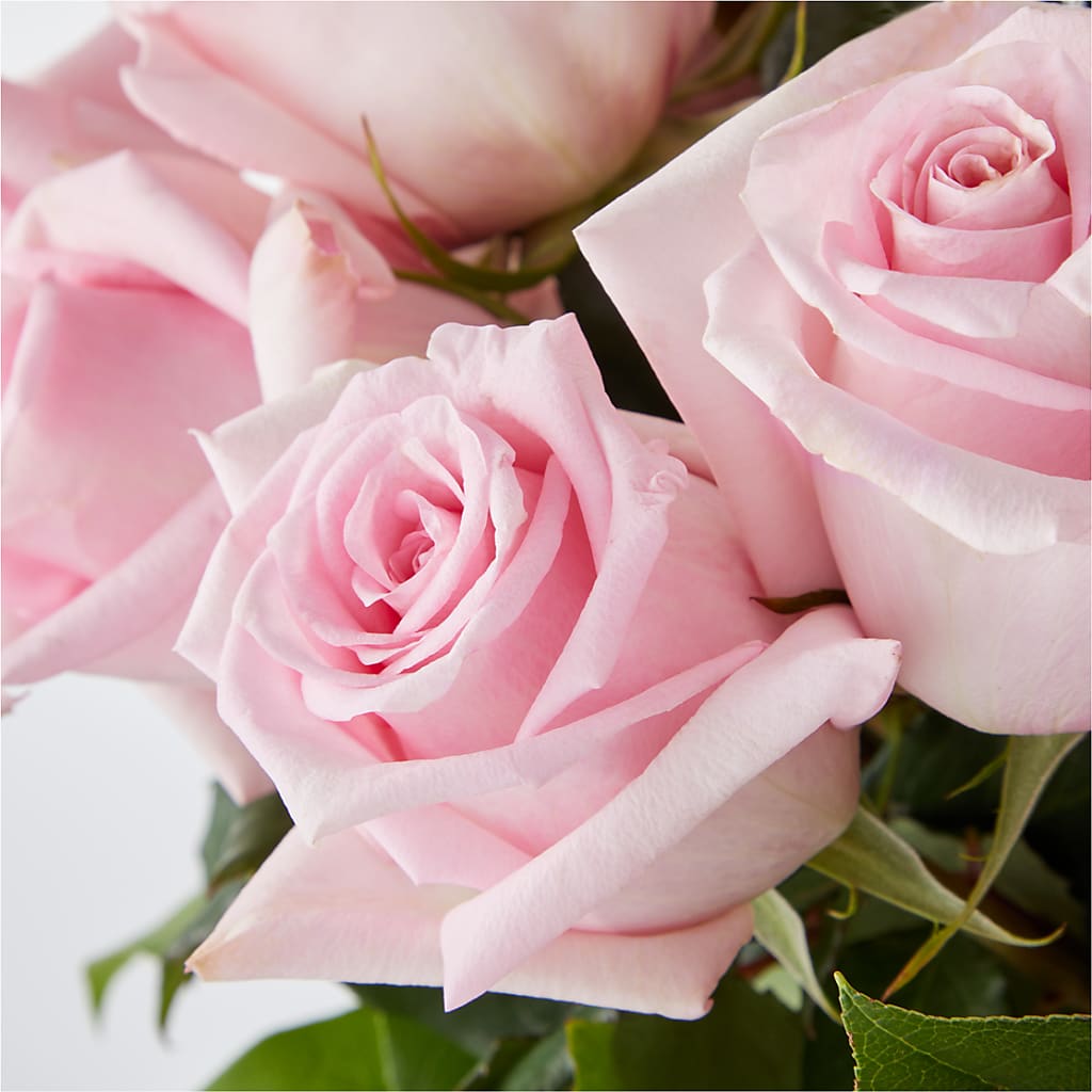 Picture Perfect Pink Rose Bouquet – FLOWERS & FAIRYTALES, Pittsburgh PA