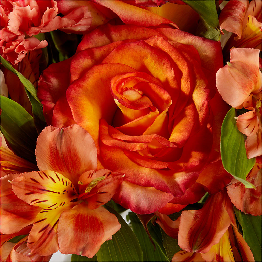 Apricot Glow Bouquet – FLOWERS & FAIRYTALES, Pittsburgh PA