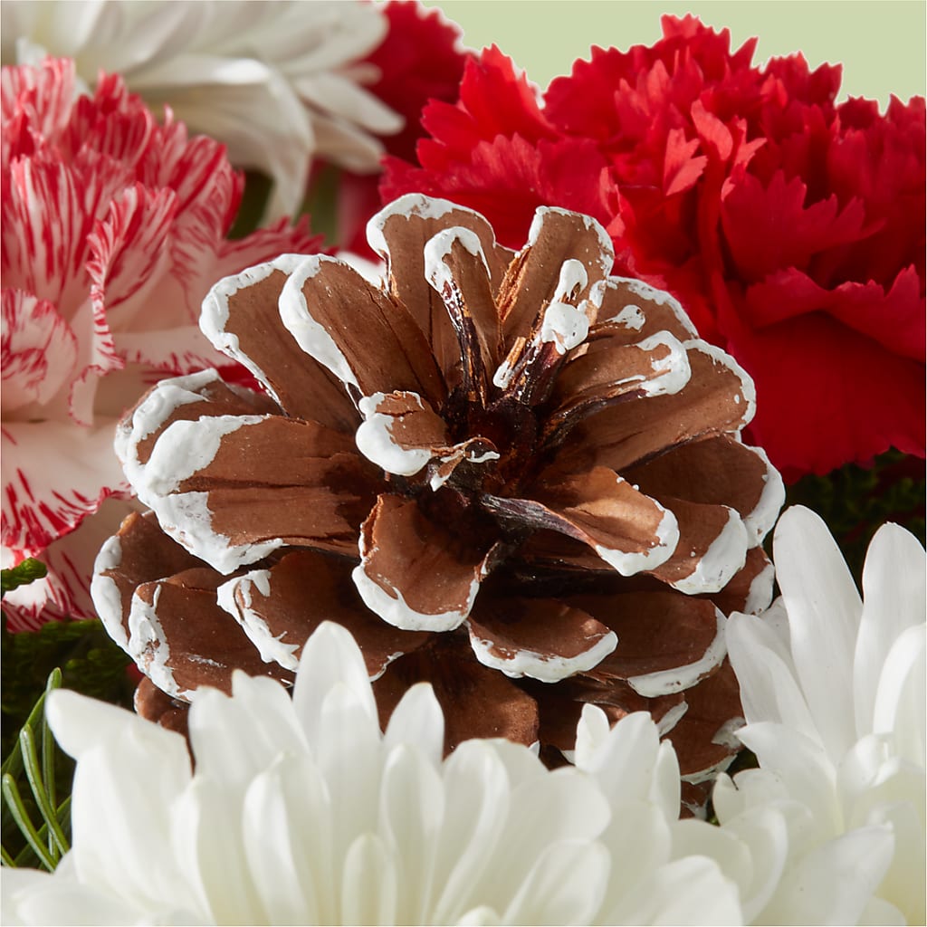Candy Cane Lane Bouquet – FLOWERS & FAIRYTALES, Pittsburgh PA
