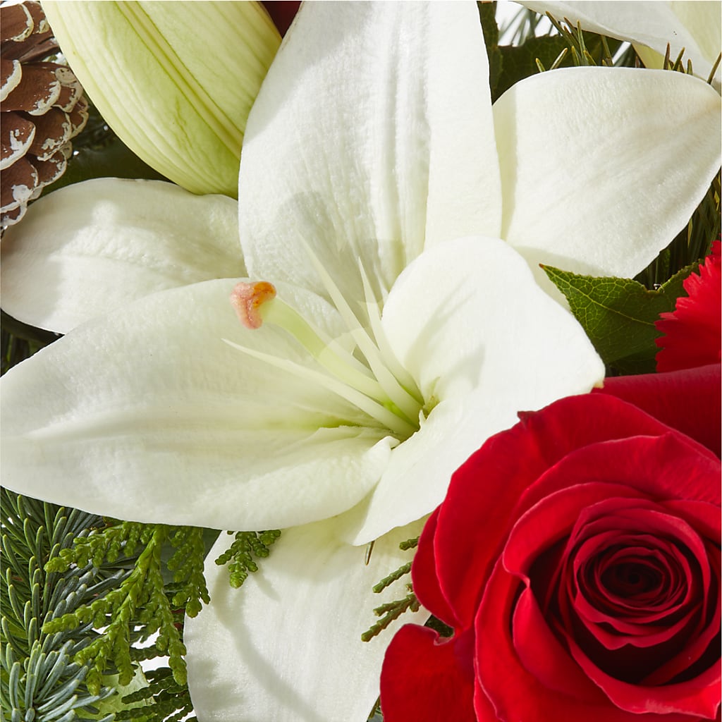 Oh So Jolly Bouquet – FLOWERS & FAIRYTALES, Pittsburgh PA