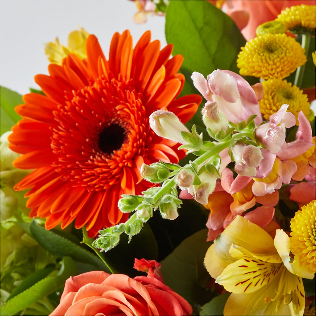 Autumn Sunshine Bouquet – FLOWERS & FAIRYTALES, Pittsburgh PA