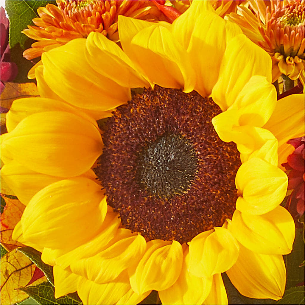 Sunny Side Bouquet – FLOWERS & FAIRYTALES, Pittsburgh PA