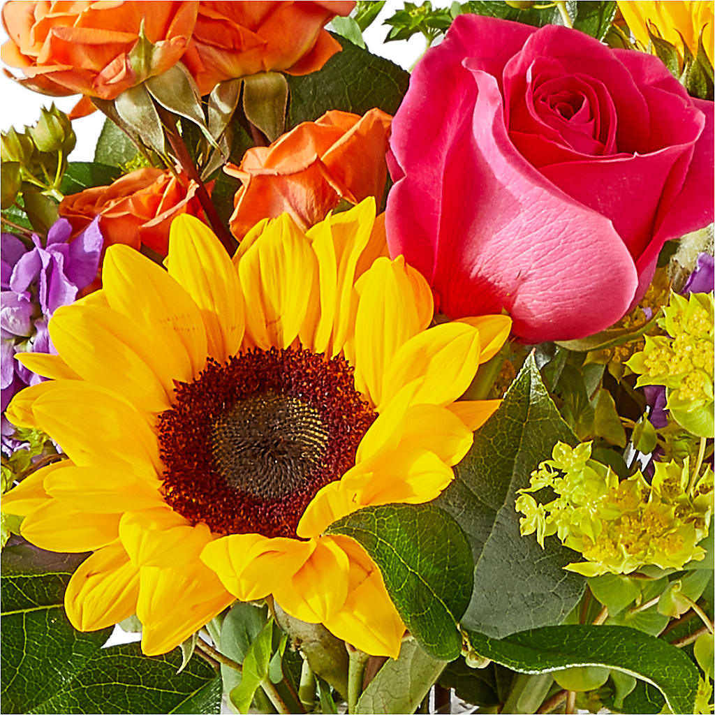 Vibrant Greetings Bouquet – FLOWERS & FAIRYTALES, Pittsburgh PA
