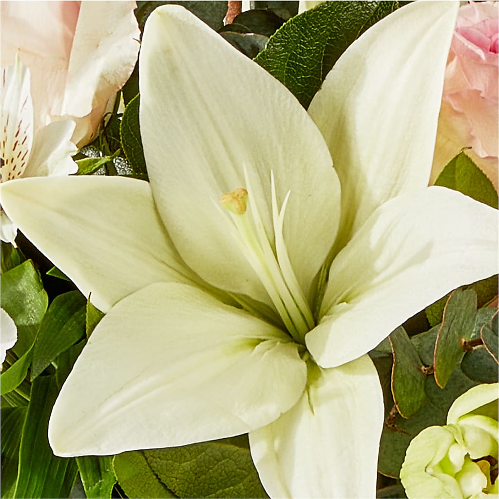 Ballet Slippers Bouquet – FLOWERS & FAIRYTALES, Pittsburgh PA