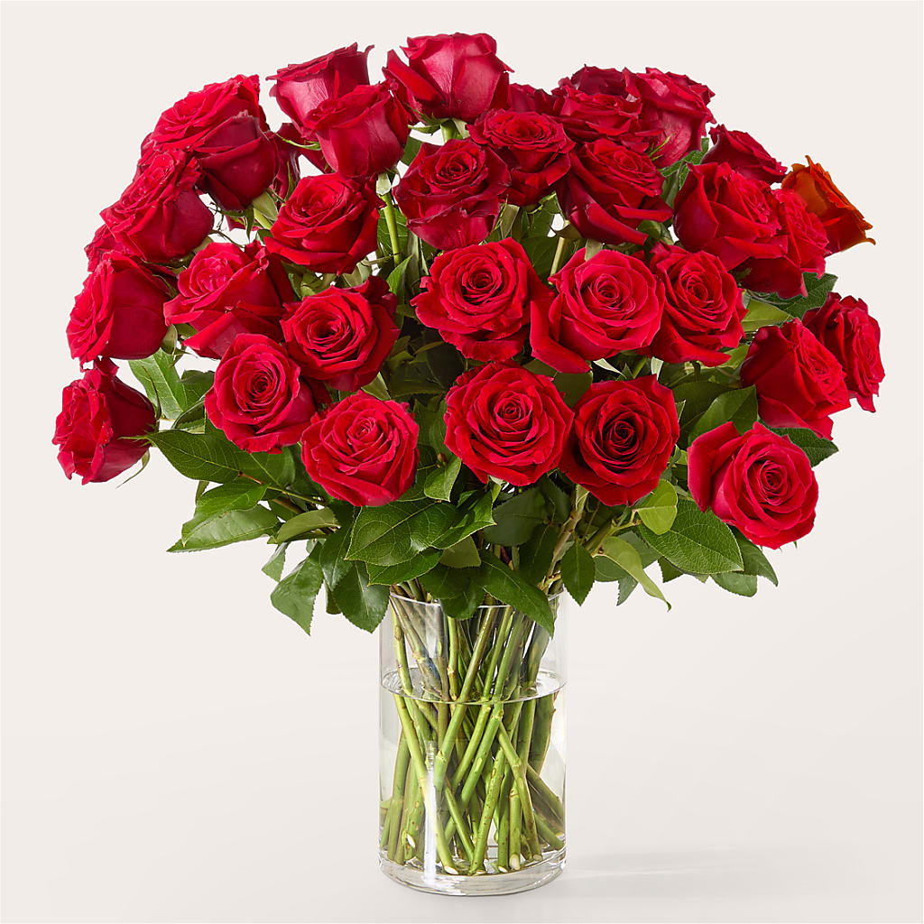 The One Red Rose Bouquet – FLOWERS & FAIRYTALES, Pittsburgh PA