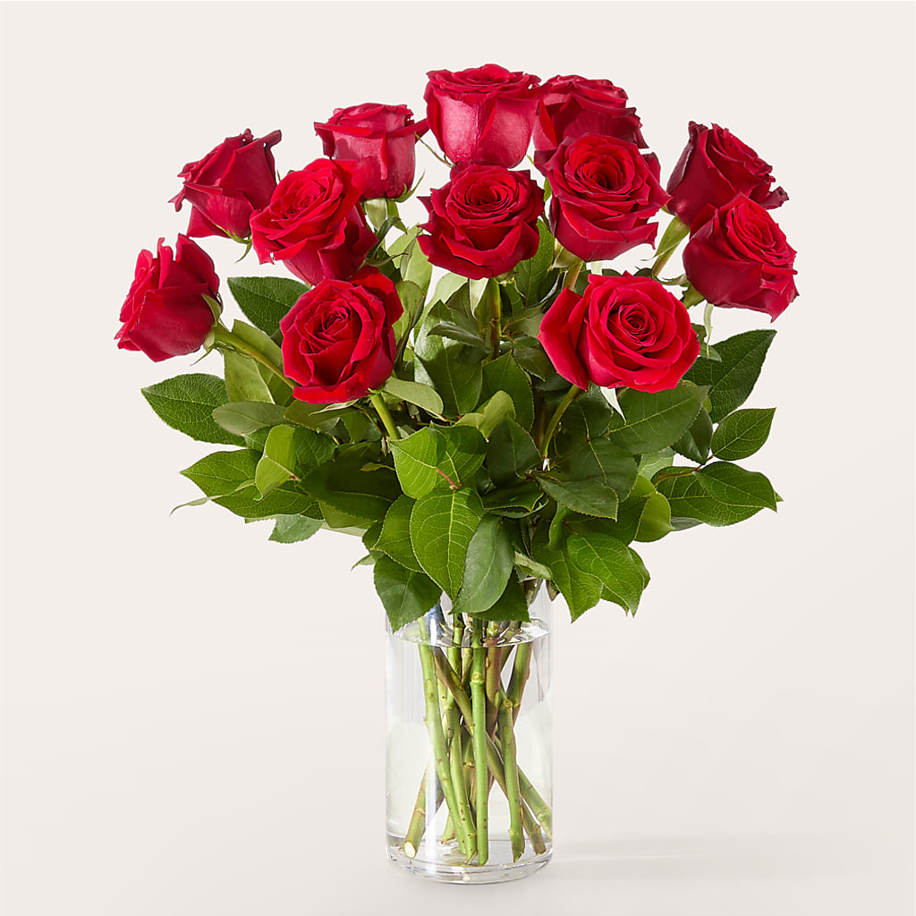 The One Red Rose Bouquet – FLOWERS & FAIRYTALES, Pittsburgh PA