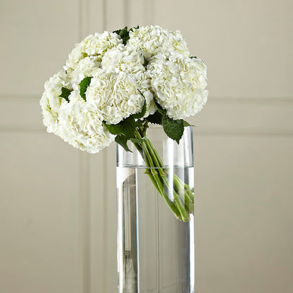 White Hydrangea Hand-Tied Bouquet – FLOWERS & FAIRYTALES, Pittsburgh PA