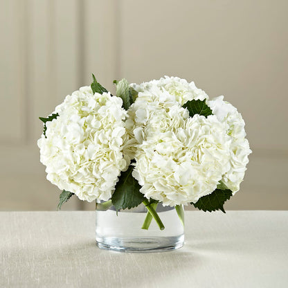 White Hydrangea Bouquet – FLOWERS & FAIRYTALES, Pittsburgh PA