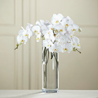 White Phalaenopsis Bouquet – FLOWERS & FAIRYTALES, Pittsburgh PA